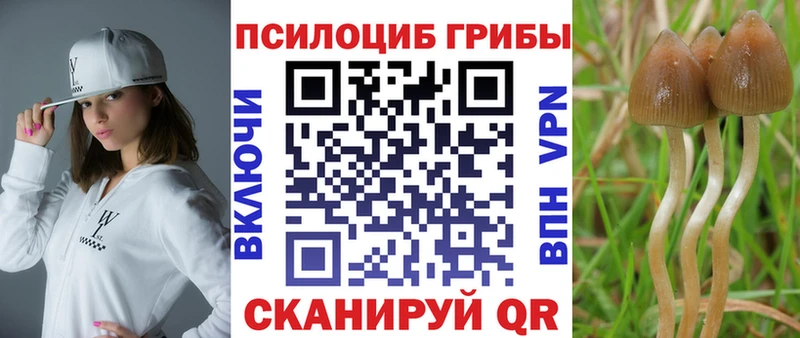 где продают   Рославль  Псилоцибиновые грибы мухоморы 